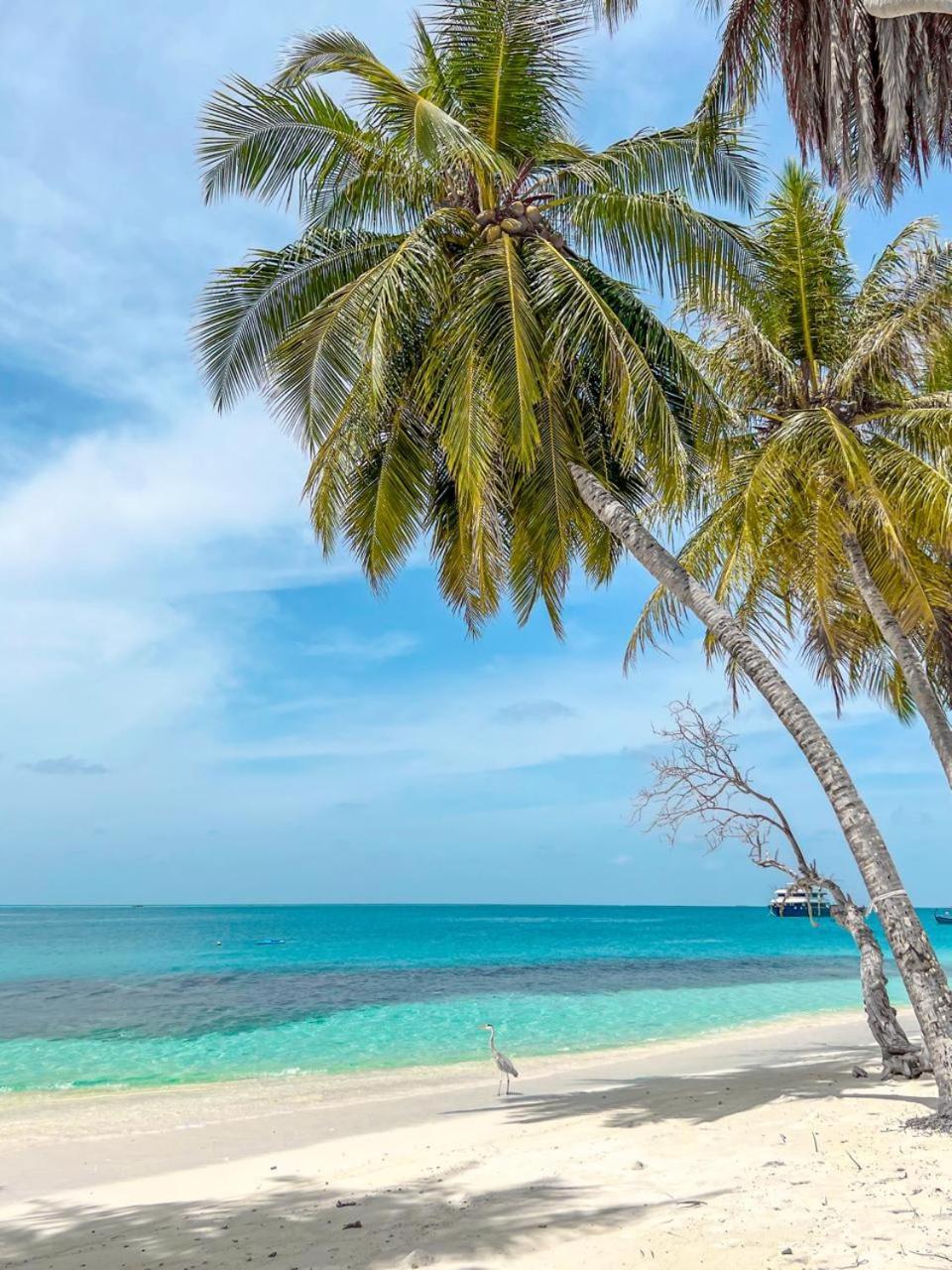 Infinite Lagoon Mandhoo Extérieur photo