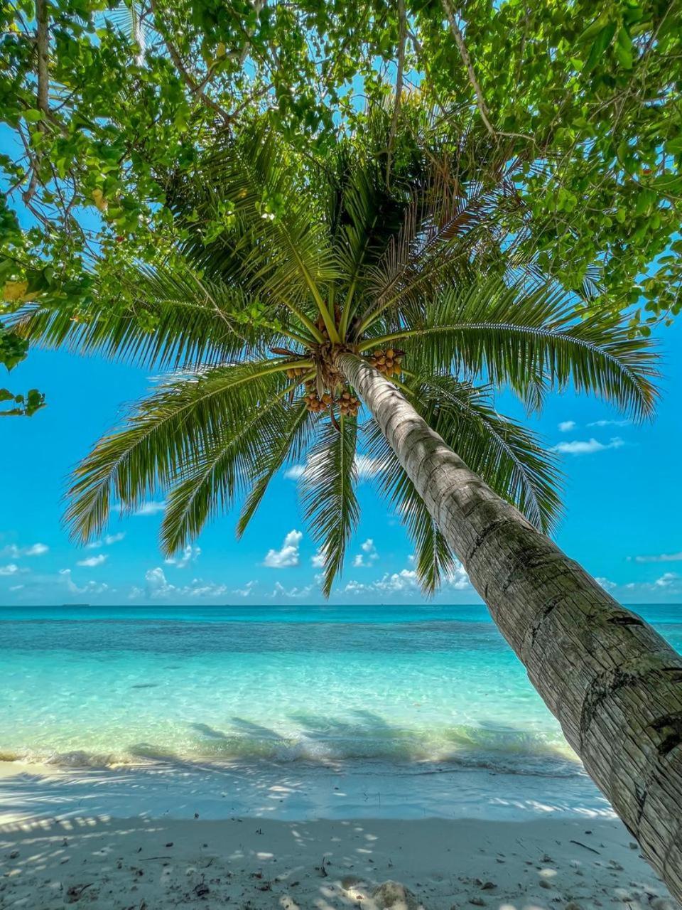 Infinite Lagoon Mandhoo Extérieur photo